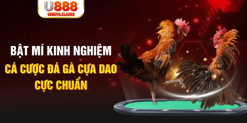 78 win casino hồ tràm có cho người việt vào không