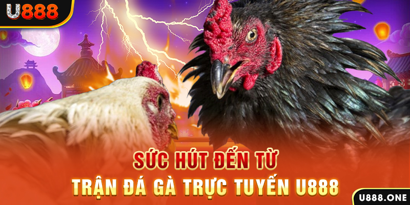 78 win đăng nhập poker 2024