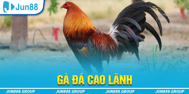 78 win tai game vua bai ve may tinh