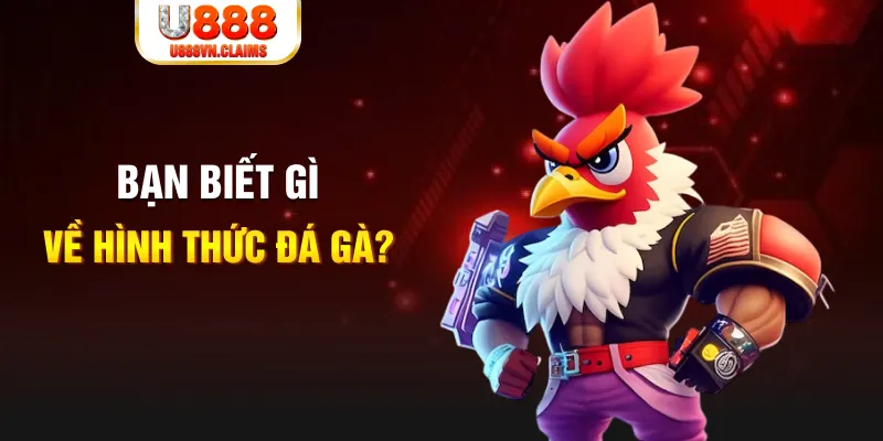 78 win đăng nhập liêng tặng tiền