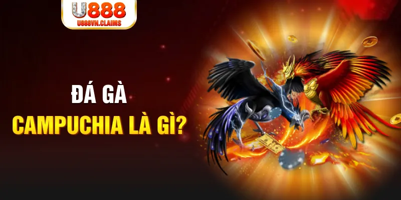 78 win what is the best online casino for real money