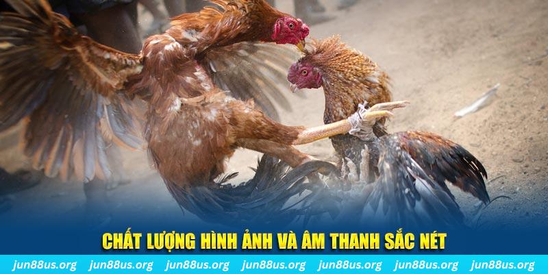 78 win gà chọi tiêu phong