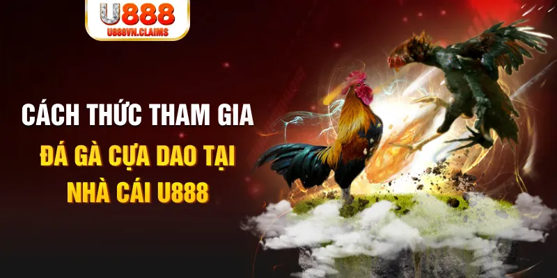78 win đá gà 88.com