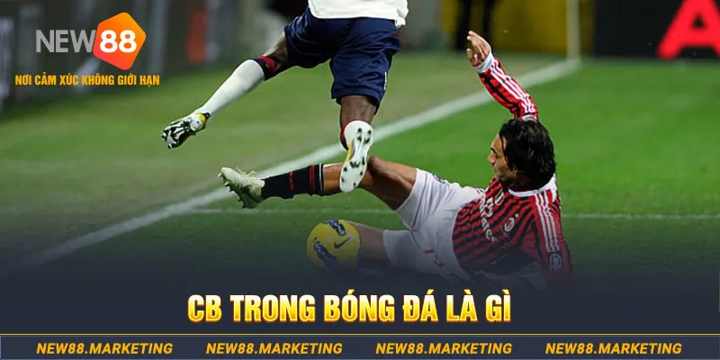 78 win DG Trực Tuyến