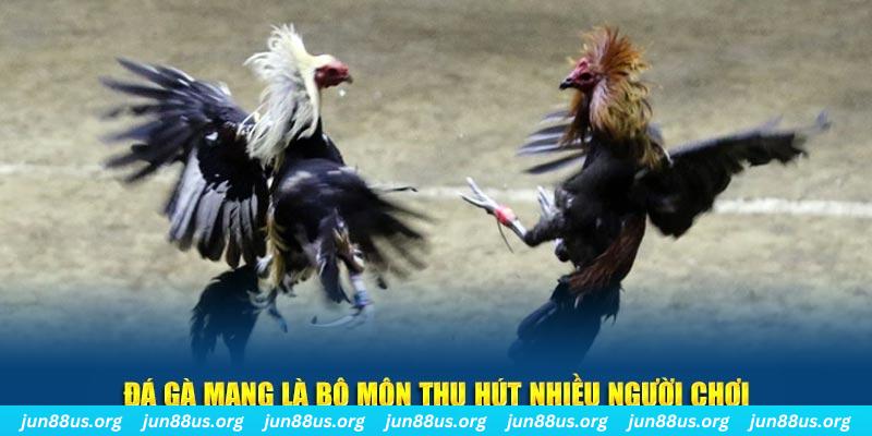 78 win đăng nhập sòng bạc số 1