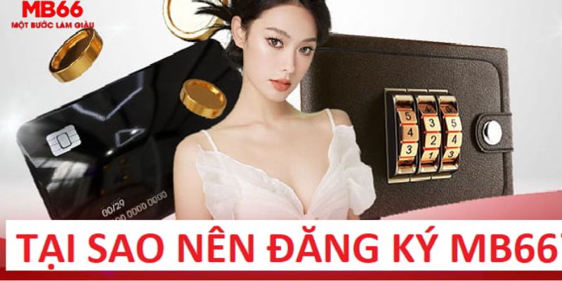 78 win trực tiếp gà chọi c1