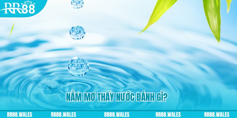 78 win xổ số trực tiếp miền bắc