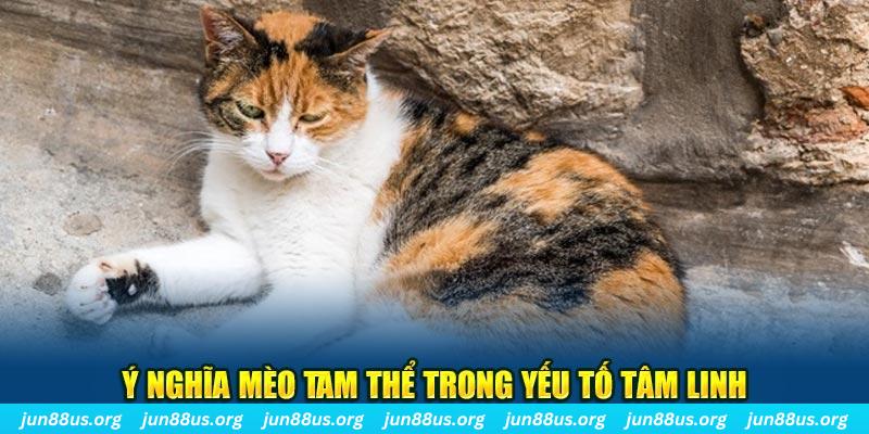 78 win máy slot game là loại trò chơi gì？