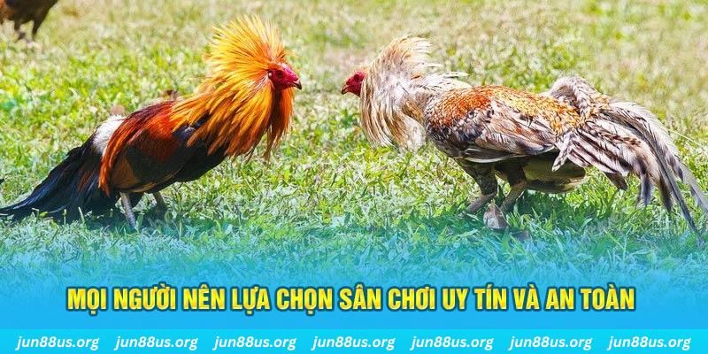 78 win đăng nhập poker 2025