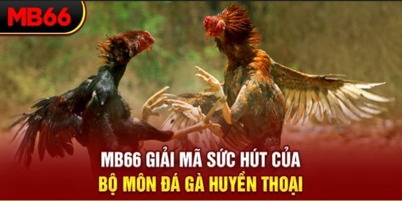 78 win xổ số đài bắc