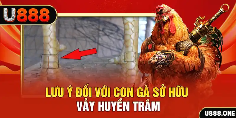 78 win tải game đánh bài tiến lên miền nam về máy tính