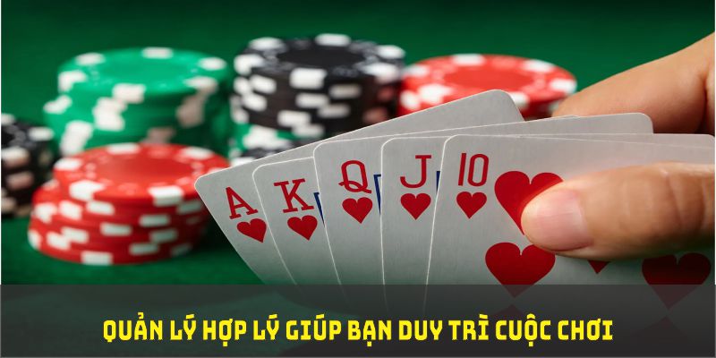 78 win đá gà trực tiếp thomo 67