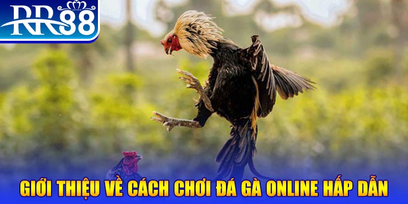 78 win bắn cá h5 là gì