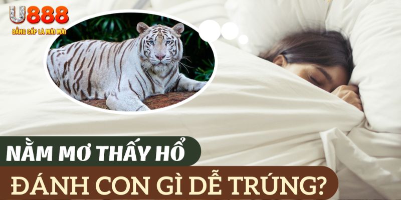 78 win nohu .mx nổ hủ là gì