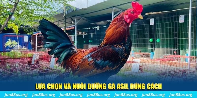 78 win nổ hũ thần tài là gì