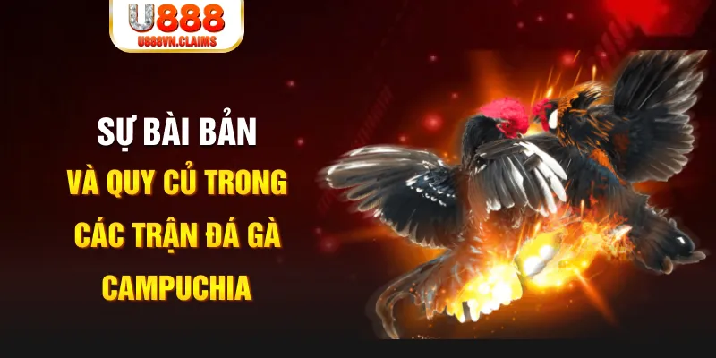 78 win game xếp bài trên máy tính