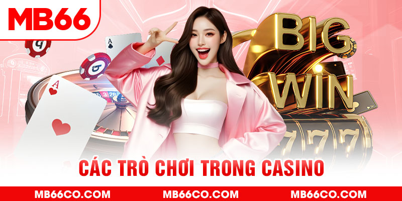 78 win chổi lông gà