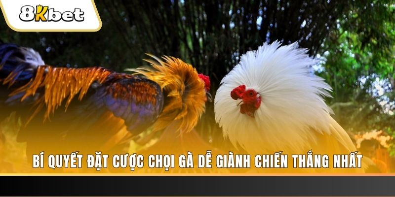 78 win nổ hũ chơi như thế nào