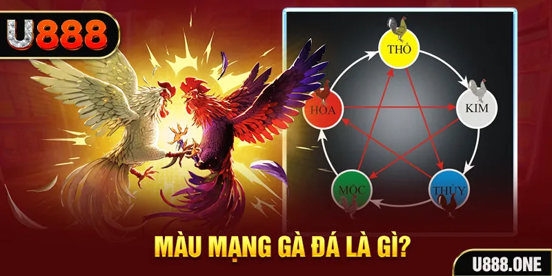 78 win V8 Game Bài 3d
