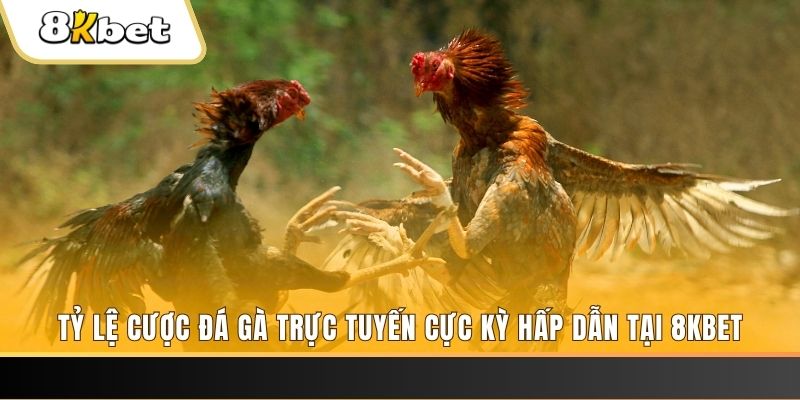 78 win xổ số miền bắc chủ nhật