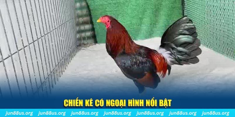78 win qq88 bắn cá
