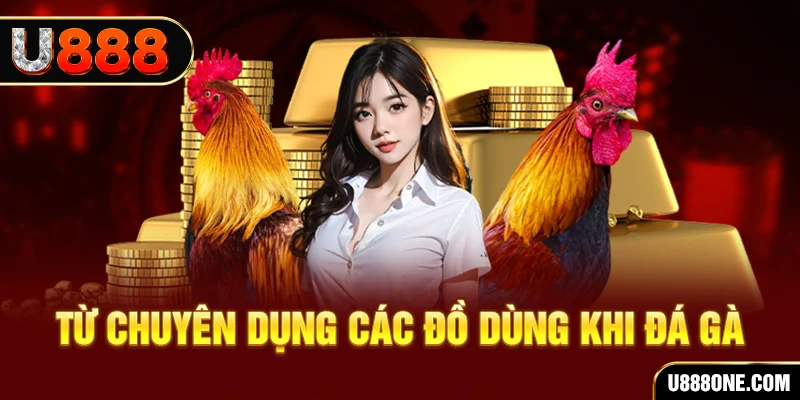 78 win đăng nhập poker trực tiếp