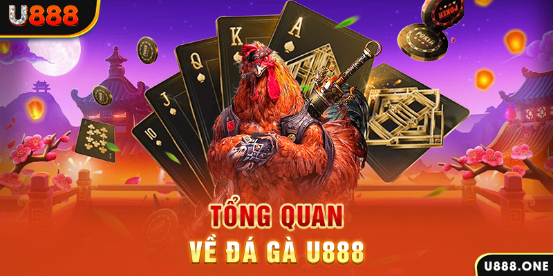 78 win xổ số vietlott
