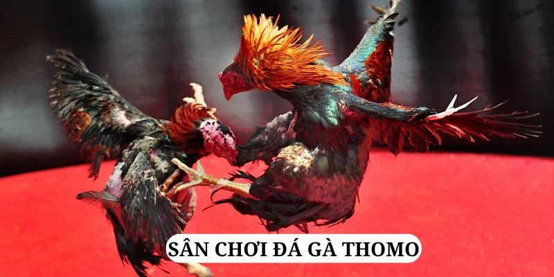 78 win quay nổ hũ là gì