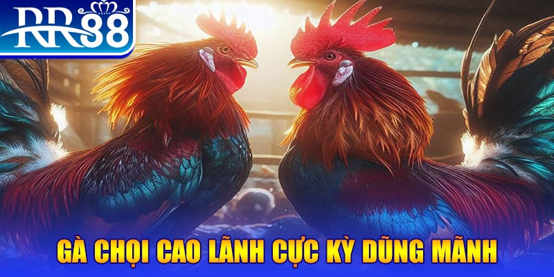 78 win đăng nhập poker live
